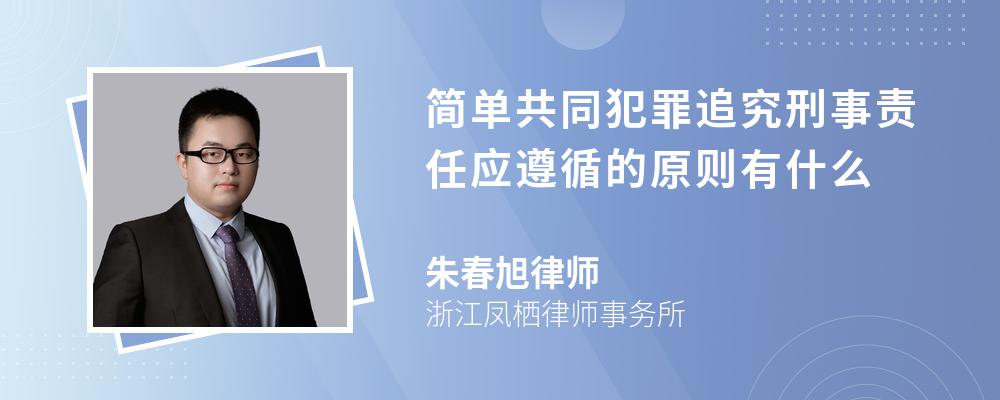 简单共同犯罪追究刑事责任应遵循的原则有什么