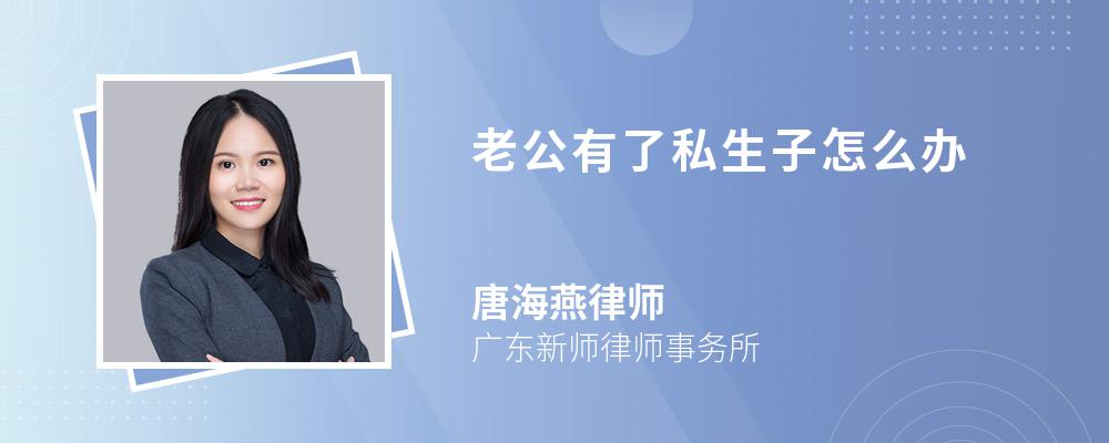 老公有了私生子怎么办