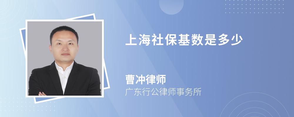 上海社保基数是多少