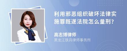 利用邪恶组织破坏法律实施罪既遂法院怎么量刑?