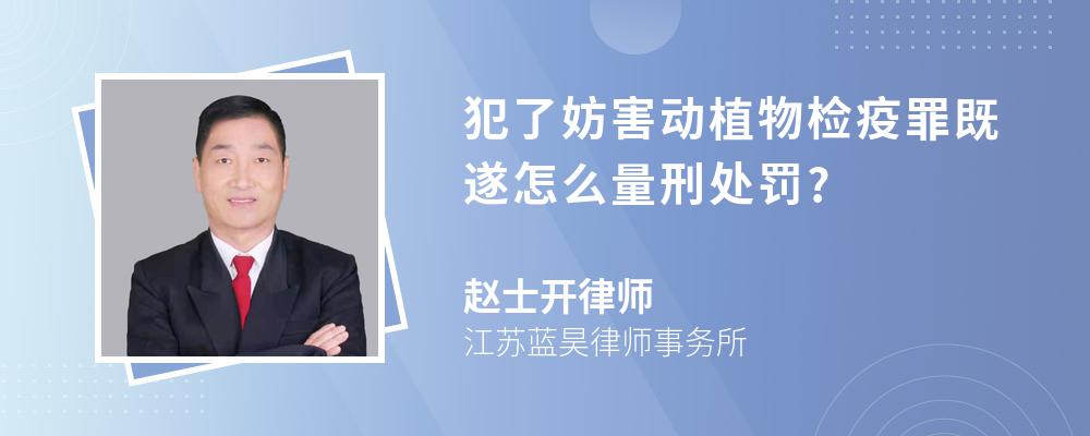 犯了妨害动植物检疫罪既遂怎么量刑处罚?