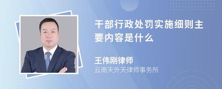 干部行政处罚实施细则主要内容是什么