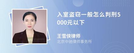 入室盗窃一般怎么判刑5000元以下