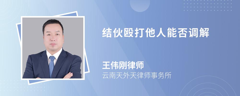 结伙殴打他人能否调解