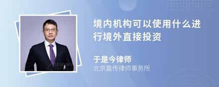 境内机构可以使用什么进行境外直接投资