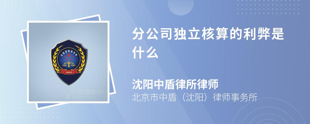 分公司独立核算的利弊是什么