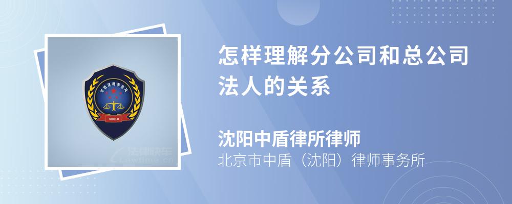 怎样理解分公司和总公司法人的关系