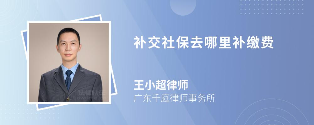 补交社保去哪里补缴费