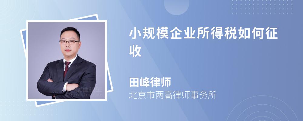 小规模企业所得税如何征收