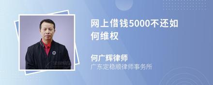 网上借钱5000不还如何维权