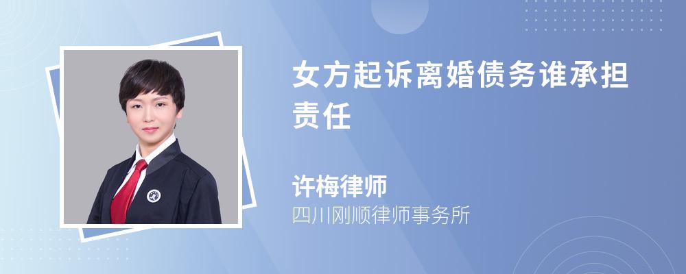 女方起诉离婚债务谁承担责任