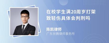 在校学生满20周岁打架致轻伤具体会判刑吗