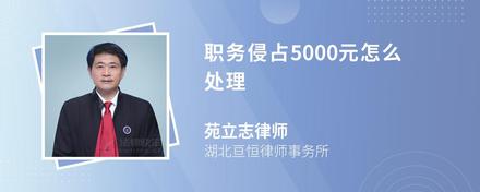 职务侵占5000元怎么处理