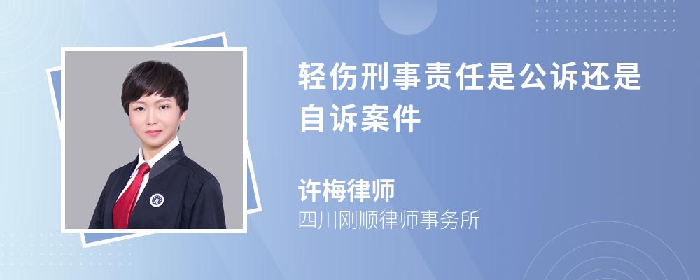 轻伤刑事责任是公诉还是自诉案件