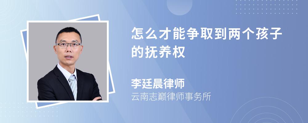 怎么才能争取到两个孩子的抚养权