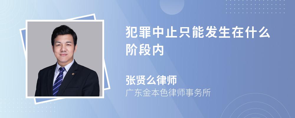 犯罪中止只能发生在什么阶段内