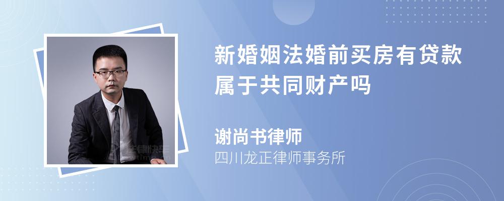 新婚姻法婚前买房有贷款属于共同财产吗