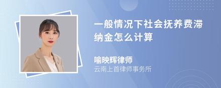 一般情况下社会抚养费滞纳金怎么计算