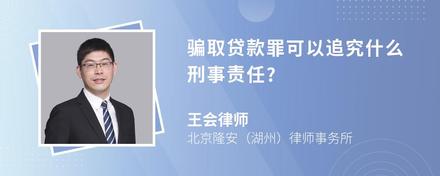 骗取贷款罪可以追究什么刑事责任?