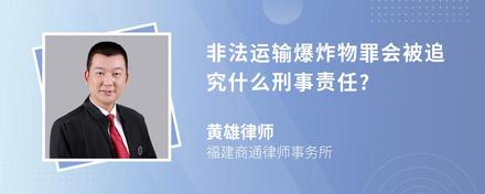 非法运输爆炸物罪会被追究什么刑事责任?