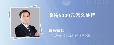 收贿5000元怎么处理