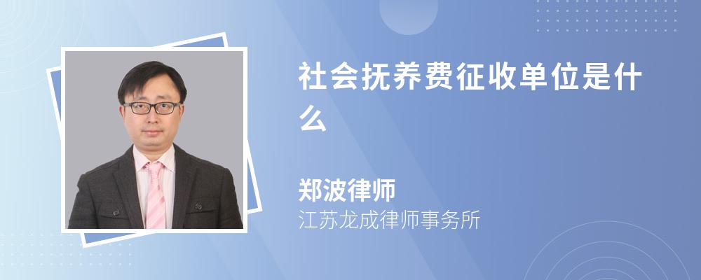 社会抚养费征收单位是什么