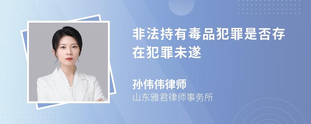 非法持有毒品犯罪是否存在犯罪未遂