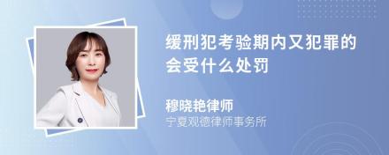 缓刑犯考验期内又犯罪的会受什么处罚