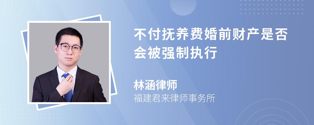 不付抚养费婚前财产是否会被强制执行