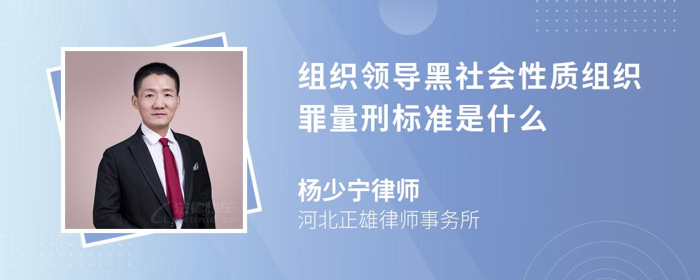 组织领导黑社会性质组织罪量刑标准是什么