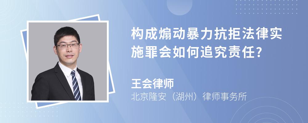 构成煽动暴力抗拒法律实施罪会如何追究责任?