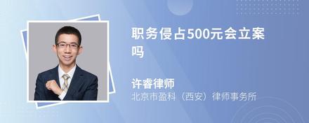 职务侵占500元会立案吗