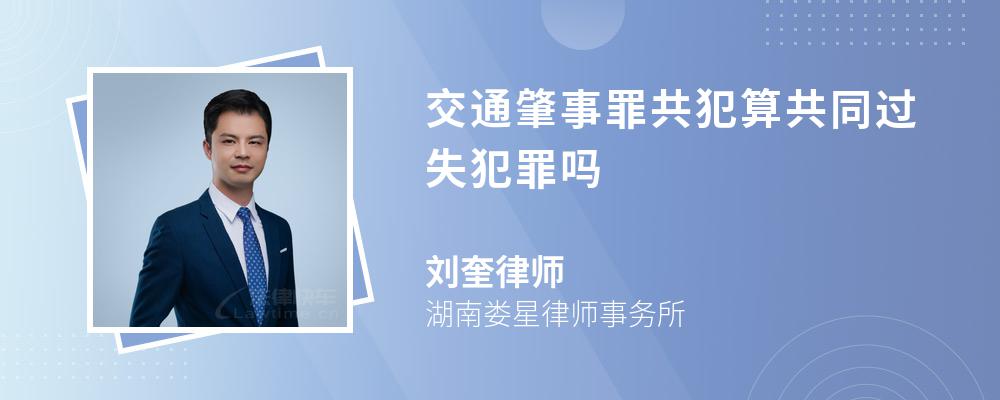 交通肇事罪共犯算共同过失犯罪吗