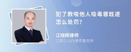 犯了教唆他人吸毒罪既遂怎么处罚?