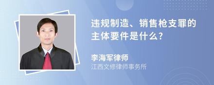 违规制造、销售枪支罪的主体要件是什么?