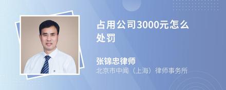 占用公司3000元怎么处罚