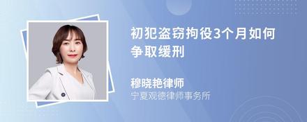 初犯盗窃拘役3个月如何争取缓刑