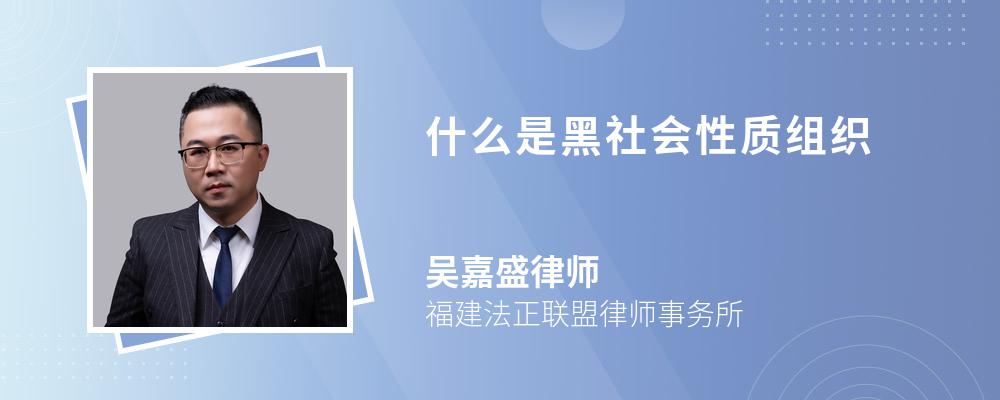 什么是黑社会性质组织