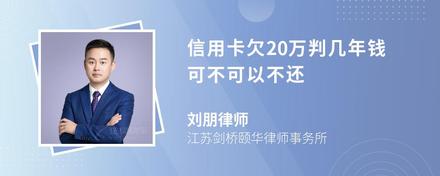 信用卡欠20万判几年钱可不可以不还