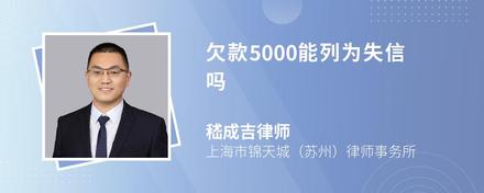 欠款5000能列为失信吗