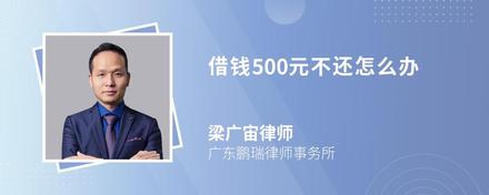 借钱500元不还怎么办