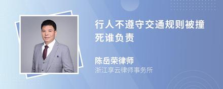 行人不遵守交通规则被撞死谁负责
